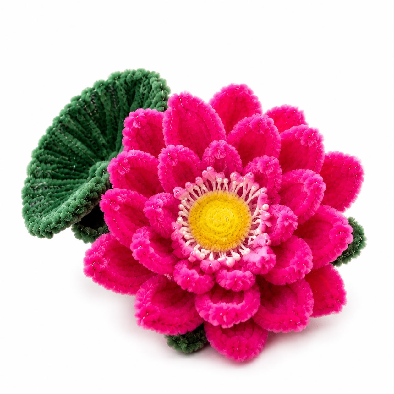 Lotus Flower